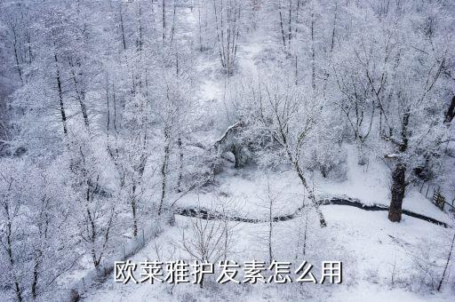 欧莱雅护发素怎么用