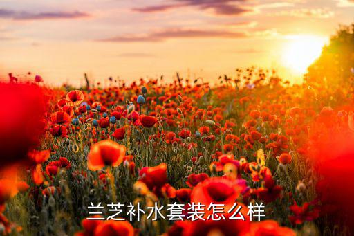 兰芝补水套装怎么样