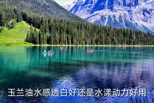 玉兰油水感透白好还是水漾动力好用