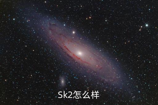Sk2怎么样