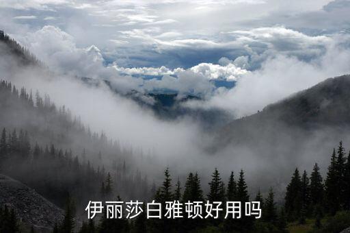 伊丽莎白雅顿好用吗