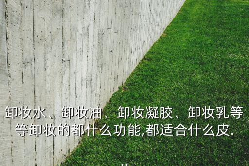 卸妆水、卸妆油、卸妆凝胶、卸妆乳等等卸妆的都什么功能,都适合什么皮...