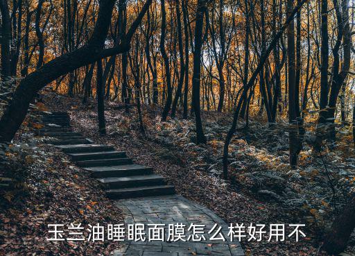 玉兰油睡眠面膜怎么样好用不