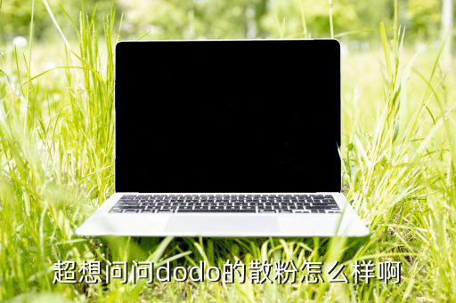 超想问问dodo的散粉怎么样啊