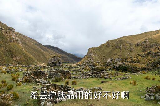 希芸美容液怎么样,希芸基础美容液介绍
