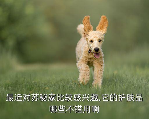 苏秘洁面液怎么用,苏秘温和洁面液