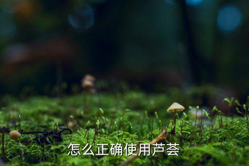 怎么正确使用芦荟