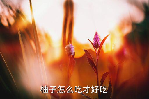 柚子舍cc怎么样,柚子怎么做才好吃?