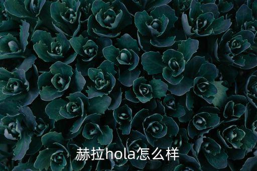 赫拉hola怎么样