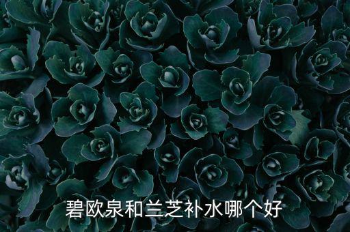 碧欧泉和兰芝补水哪个好