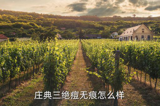 庄典三绝痘无痕怎么样