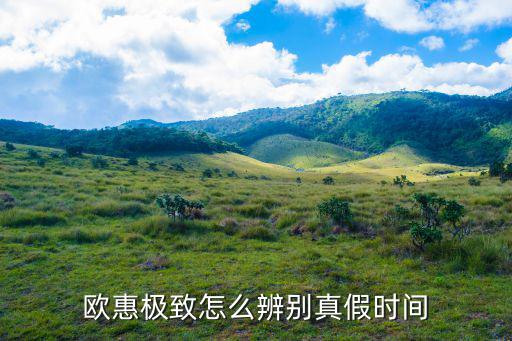 欧惠极致怎么辨别真假时间