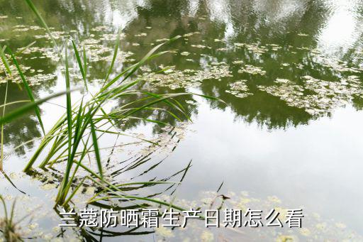 兰蔻日霜防晒怎么看,兰蔻防晒霜鉴别