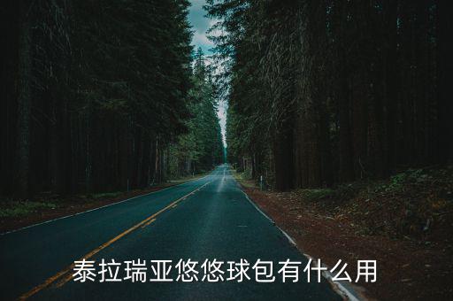 悠雅东西怎么样,悠悠球包在地下矿洞里找到骷髅商人但不能入住