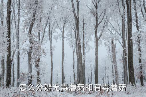 怎么分辨无毒蘑菇和有毒蘑菇