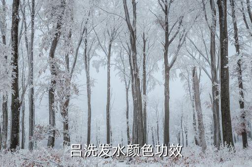 韩吕洗发水怎么样,韩国和卡诗洗发水哪个好用?对比一下
