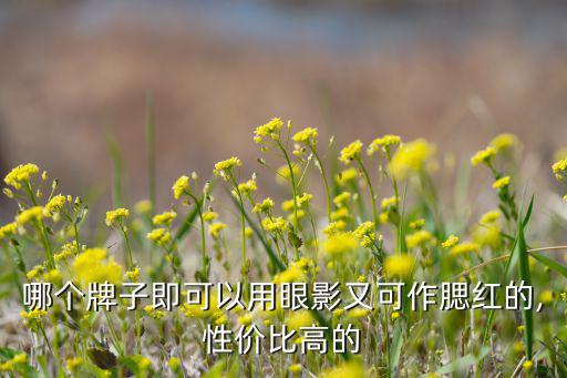 资生堂心机腮红怎么用,眼部化妆要求不高口罩也可用来化妆