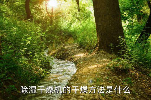 除湿干燥机的干燥方法是什么
