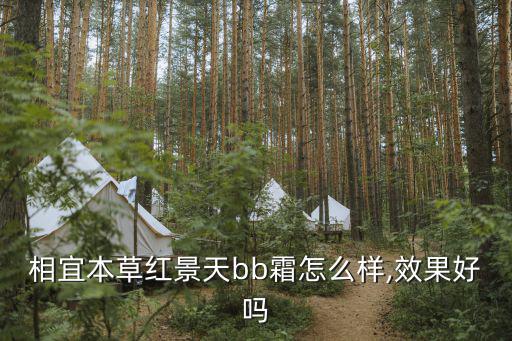 相宜本草红景天bb霜怎么样,效果好吗