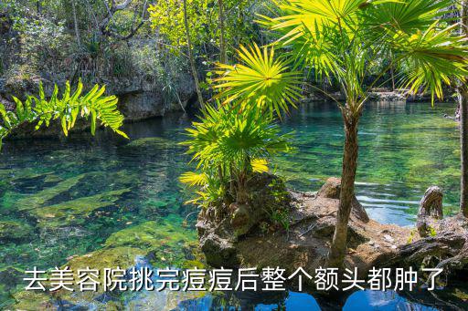 丽蒂雅祛痘产品怎么样,怎么样的霜霜适合我?一起来看看!