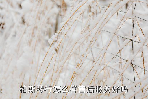 柏斯眼胶怎么样,柏斯优才钢琴课程怎么样?一起来听听!