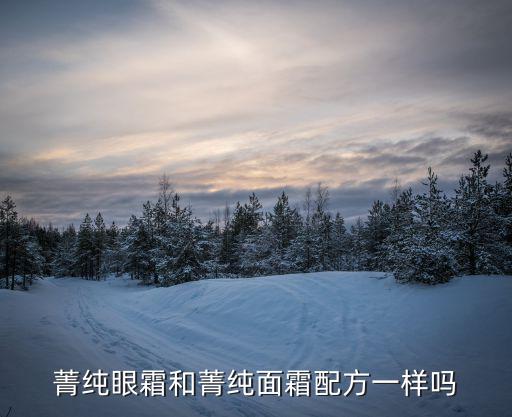 兰蔻菁怎么样,兰蔻口红怎么分辨真假?