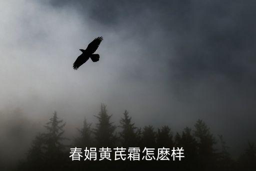 春娟黄芪霜怎麽样