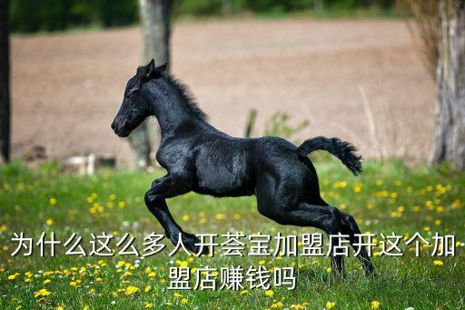 为什么这么多人开荟宝加盟店开这个加盟店赚钱吗