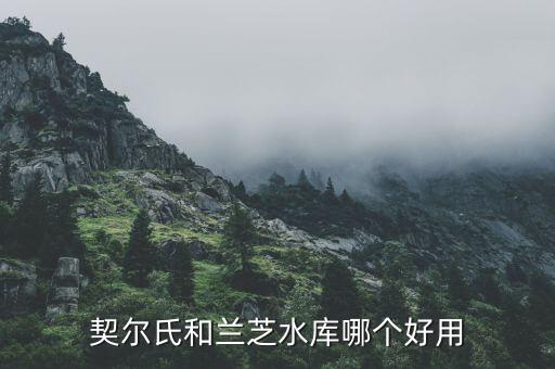 契尔氏补水面膜怎么样,契氏尔面膜的一般价格