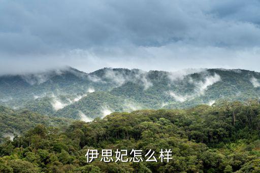 伊思妃怎么样