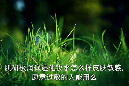 肌研极润保湿化妆水怎么样皮肤敏感,愿意过敏的人能用么