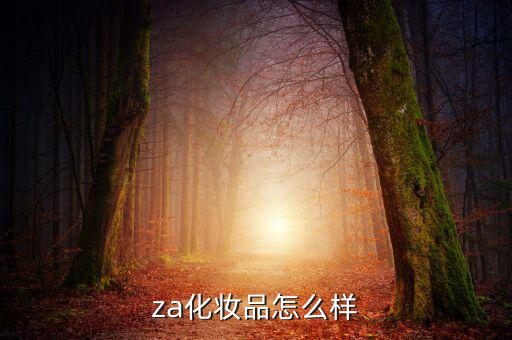 za化妆品怎么样