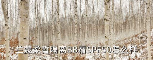 兰蔻柔晳隔离BB霜SPF50怎么样