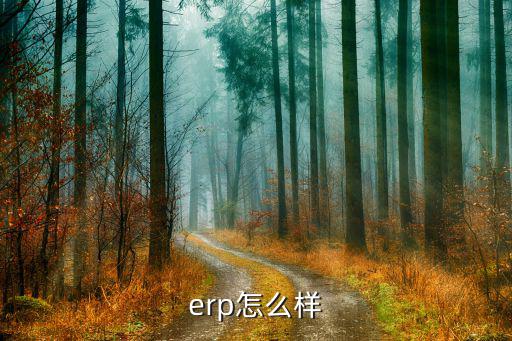 erp怎么样