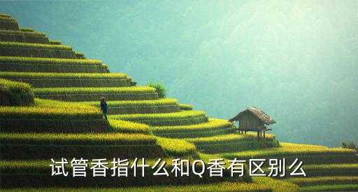 试管香水怎么买,香水试用装在哪里买
