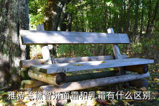 雅诗兰黛智妍面霜和乳霜有什么区别