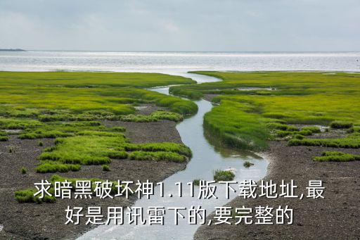 求暗黑破坏神1.11版下载地址,最好是用讯雷下的,要完整的
