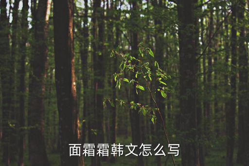 面霜霜韩文怎么写