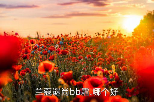 兰蔻谜尚bb霜.哪个好