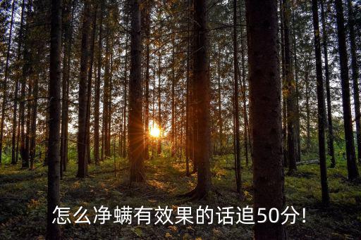 深层净螨霜怎么用好,怎么净螨最好?