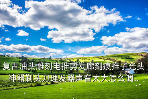 复古油头雕刻电推剪发廊刻痕推子光头神器剃头刀理发器声音太大怎么调...