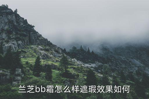 兰芝bb霜怎么样遮瑕效果如何