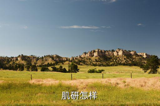 肌研怎样