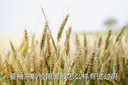 日本的柚子面膜怎么样,日本面膜哪款好