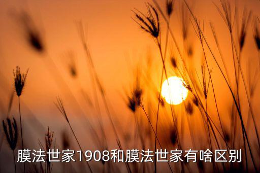 膜法世家1908和膜法世家有啥区别