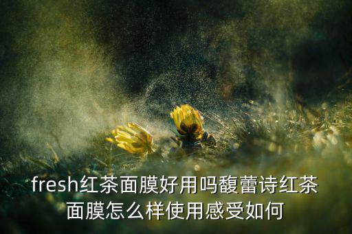 fresh红茶面膜好用吗馥蕾诗红茶面膜怎么样使用感受如何