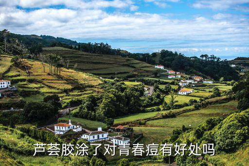李医生芦荟胶怎么用,李士芦荟胶正确用法