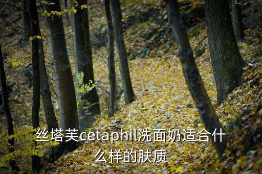 丝塔芙cetaphil洗面奶适合什么样的肤质