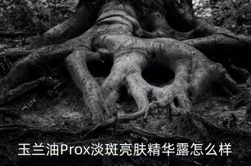 玉兰油Prox淡斑亮肤精华露怎么样