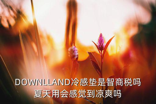 凉感快眠垫怎么用,凉液垫好吗